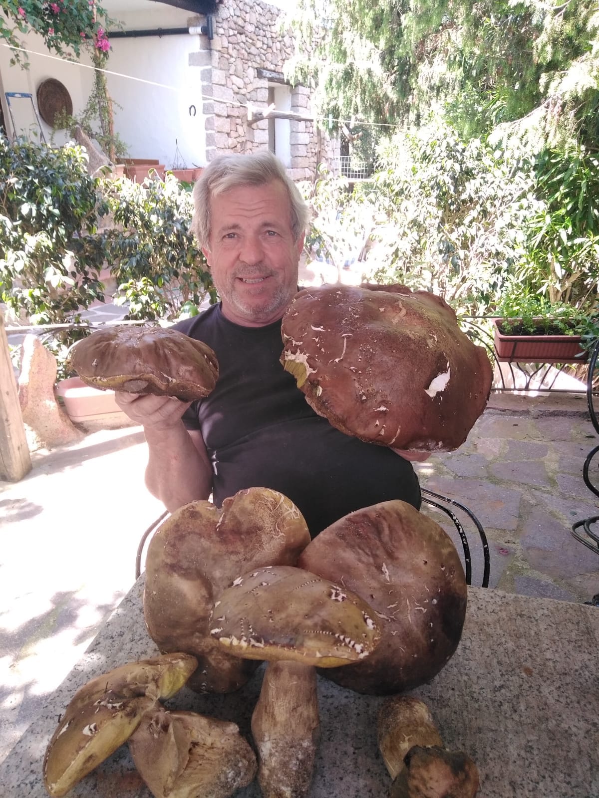 mega porcini olbia 2