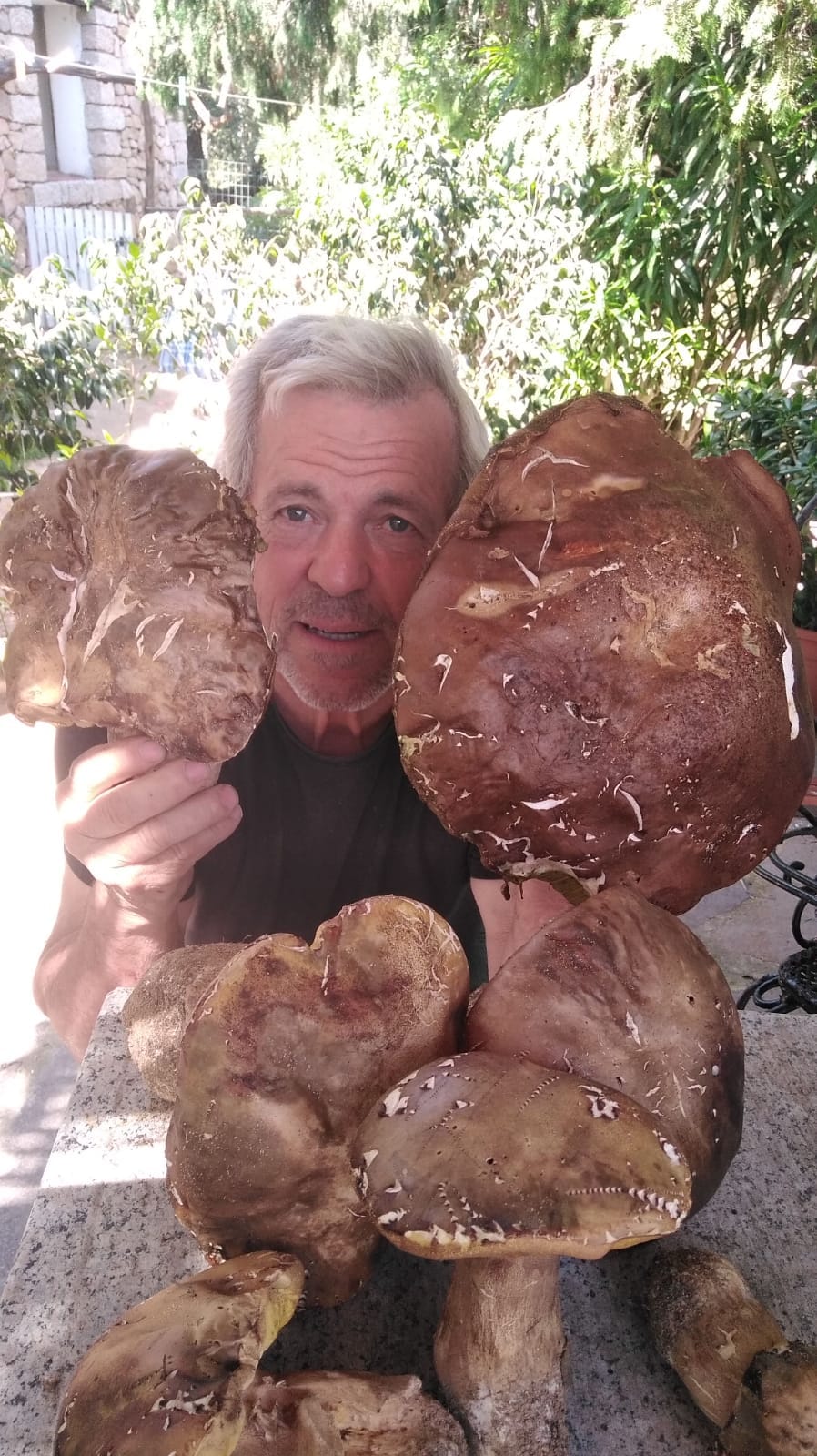 mega porcini olbia