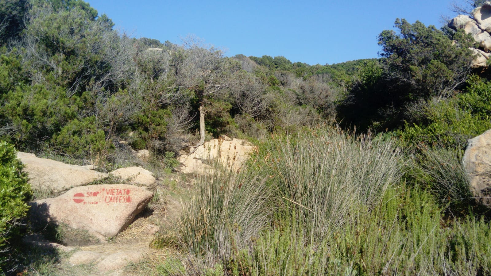 cala girgolu san teodoro3