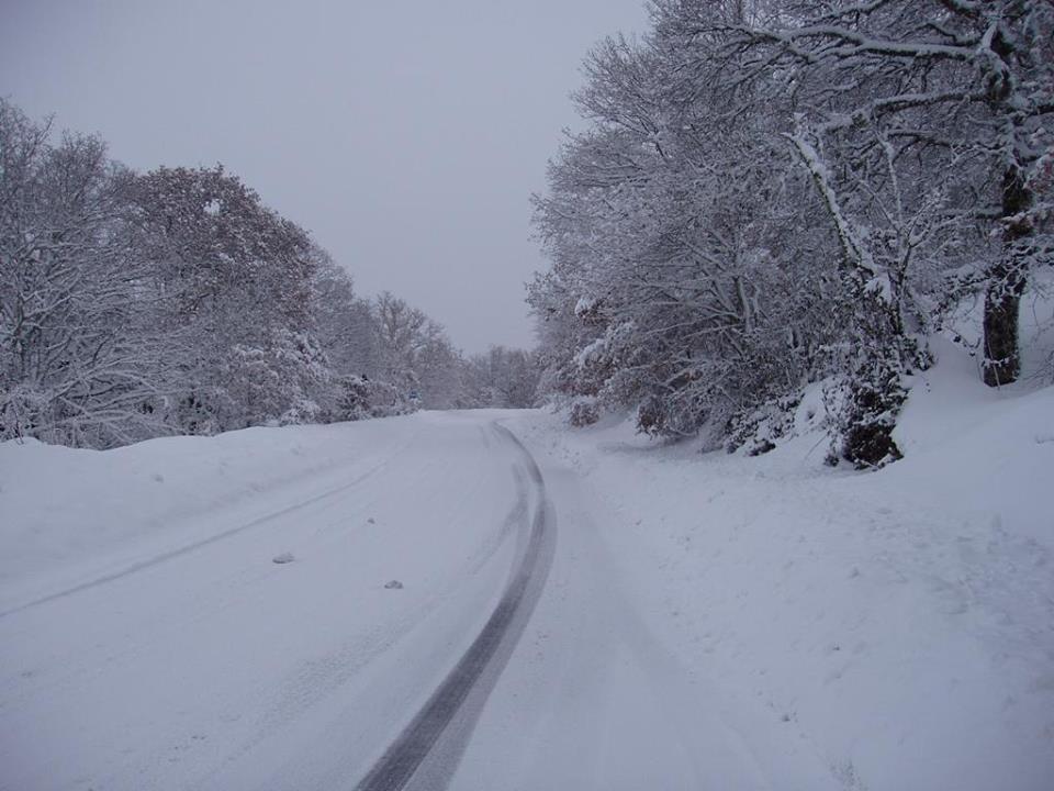 foto fonni neve