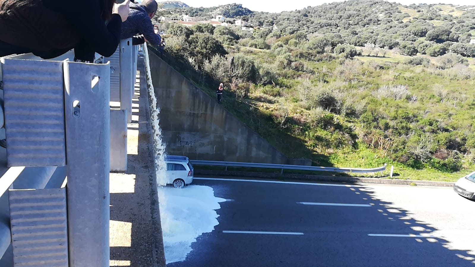 protesta pastori olbia trudda prezzo del latte sardegna23535