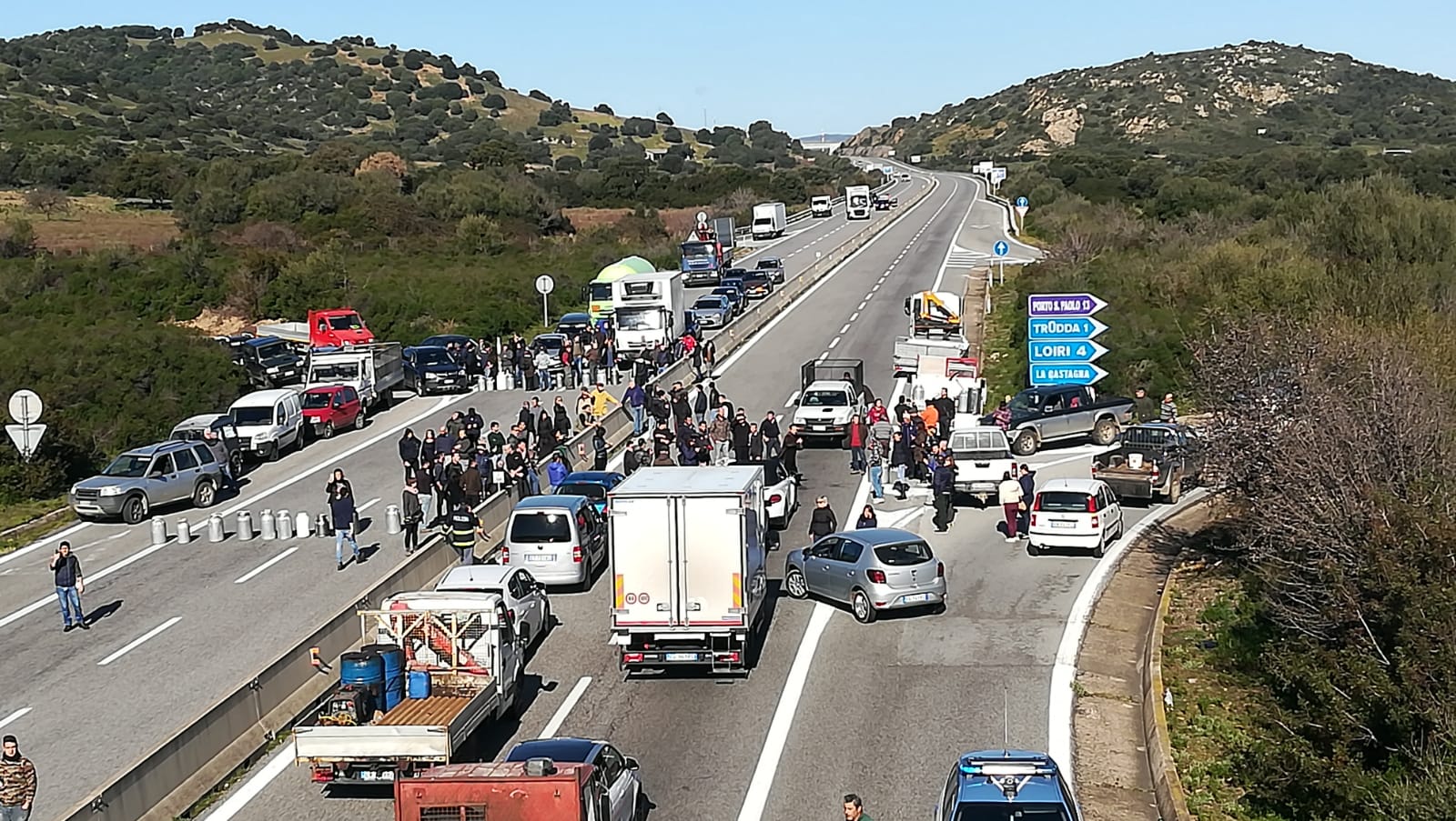 protesta pastori olbia trudda prezzo del latte sardegna4687