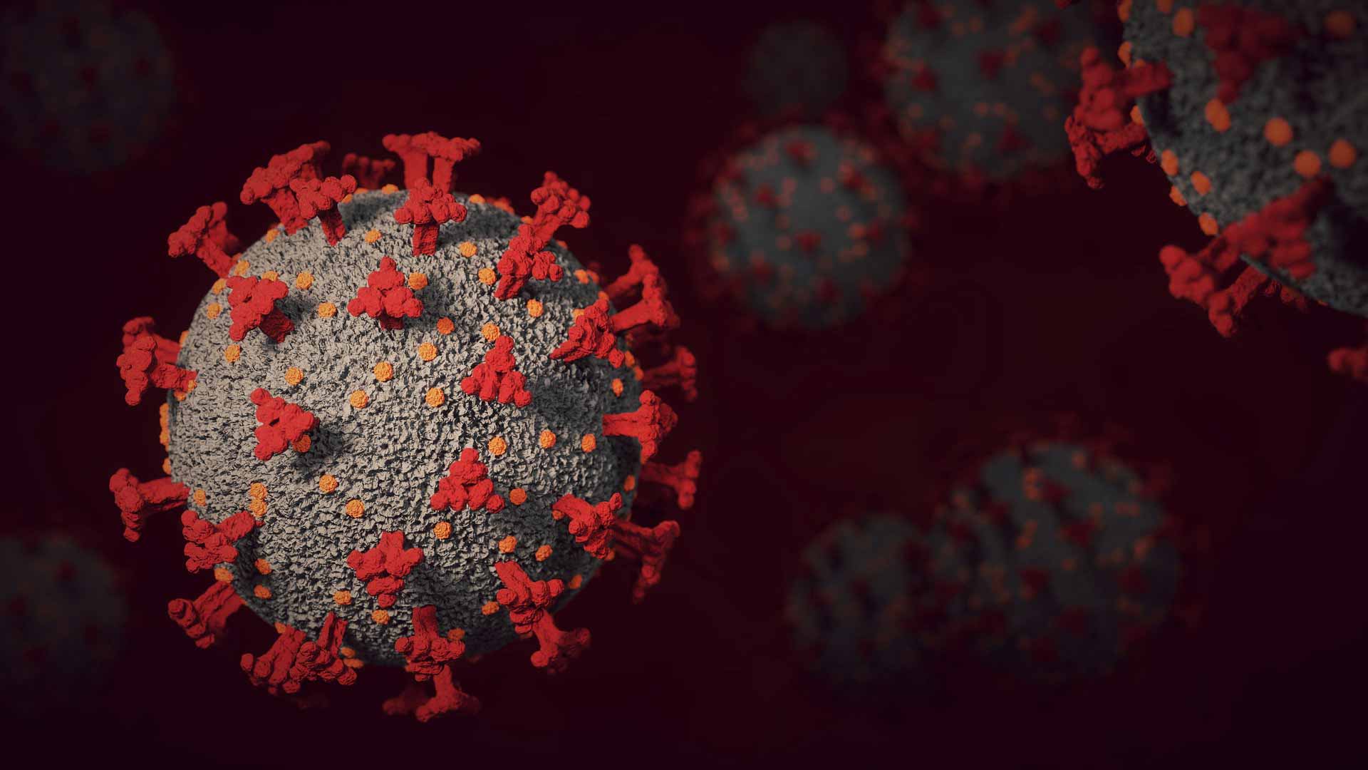 Coronavirus: 5 decessi e 1099 nuovi casi