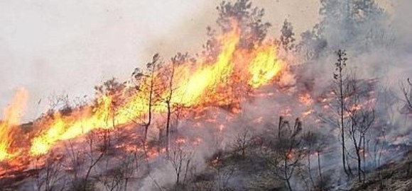 Vasto incendio minaccia la Basilica di Saccargia: Canadair in azione