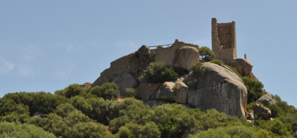 Iniziata la pulizia dei siti archeologici di Olbia