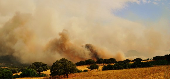 Maxi-rogo doloso tra Oschiri e Monti, oltre duemila ettari in fiamme