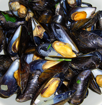 Asl Olbia: distrutte le cozze poste sotto sequestro sanitario
