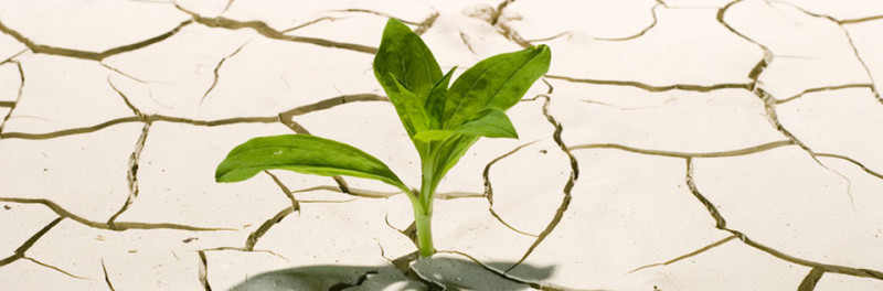 Corsi gratuiti per gli acquisti pubblici ecologici