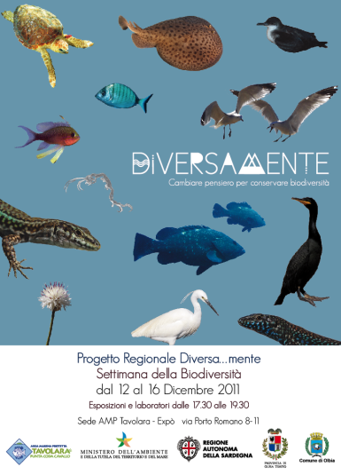 L'Area Marina Protetta organizza la Settimana della Biodiversità