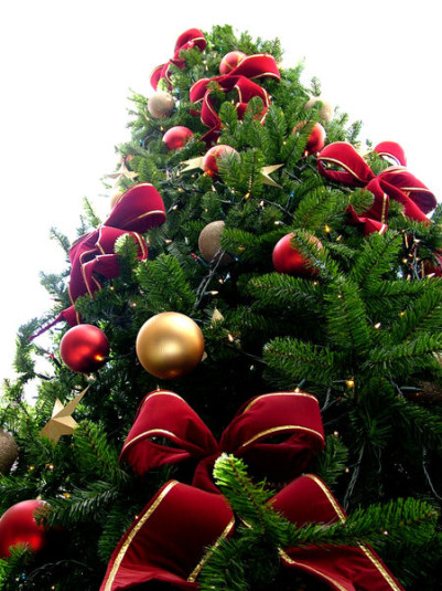 Comune di Olbia: programma eventi durante feste di Natale