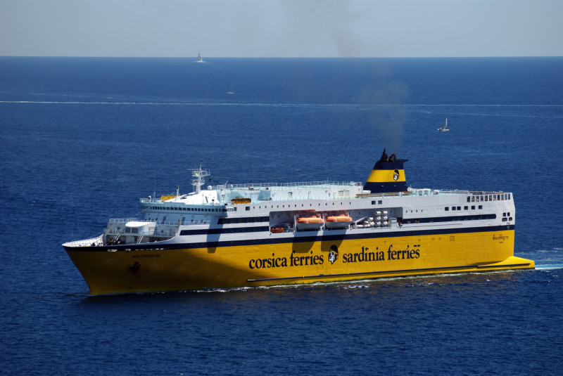 Sardinia Ferries: continua la ricerca sui cetacei a bordo delle navi gialle