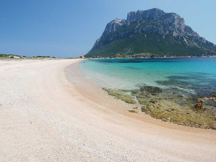 Olbia, Amp Tavolara sempre più internazionale