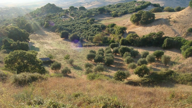 Imu Agricola: anche la Regione Sardegna ricorre