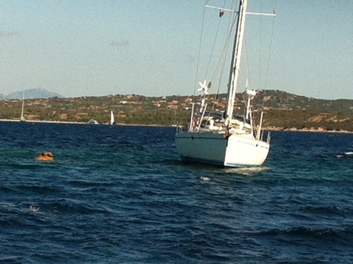 Capitaneria di porto: soccorso in mare a due anziani sulla secca Testa di Moro