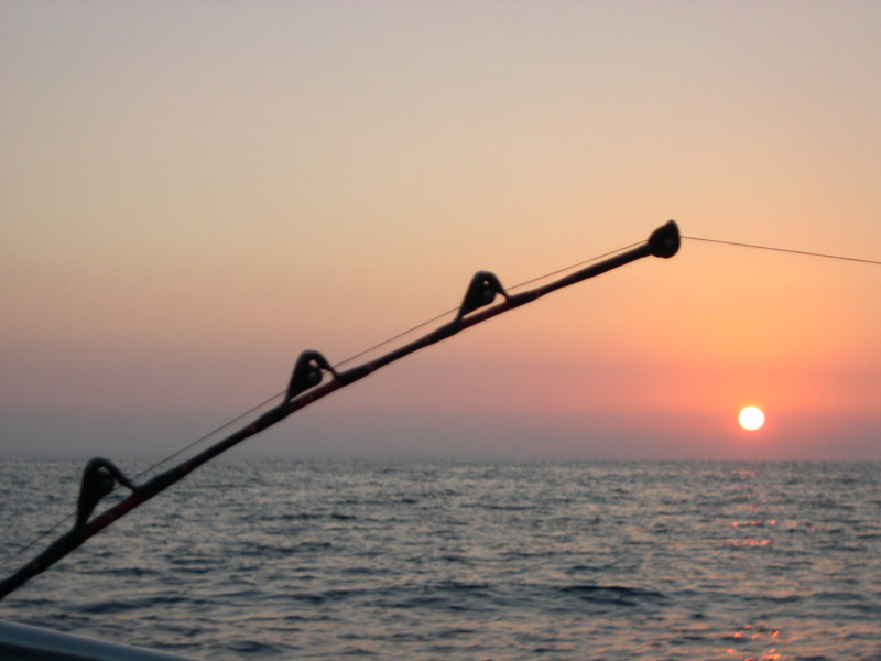 PESCA D’ALTURA: A GOLFO ARANCI IL FIGARI INTERNATIONAL  FISHING CUP