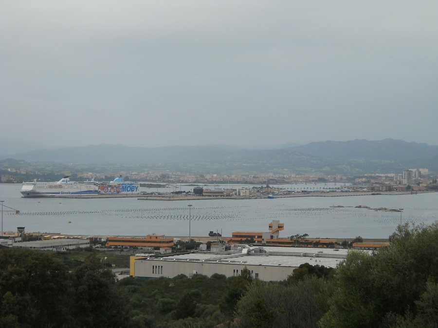 Traghetto per Olbia urta banchina a Genova