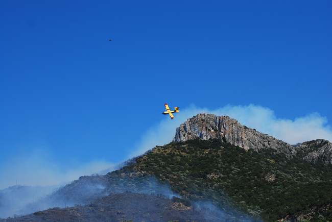 Incendio a Golfo Aranci, distrutto Monte Ruiu