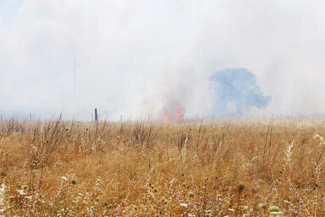 Gallura sotto allerta incendi nonostante le locali precipitazioni di questo primo mattino