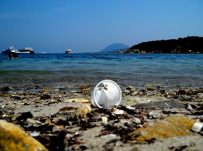 Porto Rotondo, Spiaggia delle Alghe: mare pieno di sporcizia