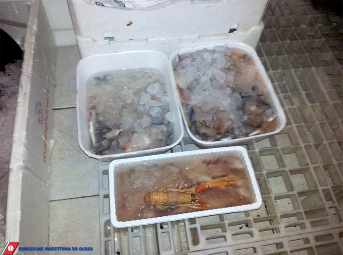 San Teodoro: sequestrato pesce scaduto in una pescheria