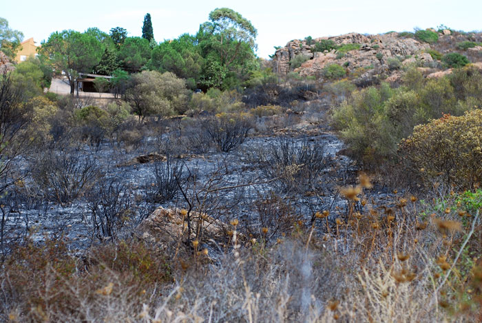 Olbia, ordinanza antincendio pubblicata il 9 agosto: multe potrebbero essere nulle