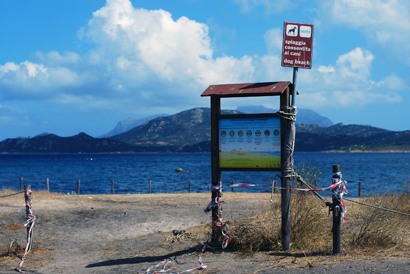 Olbia e le spiagge per cani: dove sono i servizi? Se lo chiede una cittadina