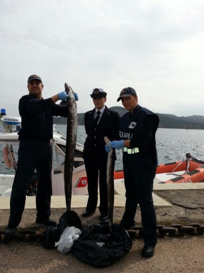 La Maddalena, sequestrati 28 kg di pescato