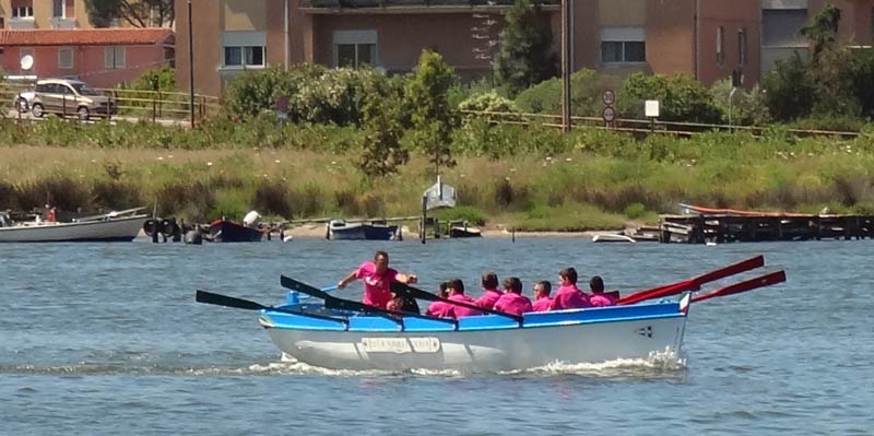 Golfo Aranci: ecco la Remata degli Studenti