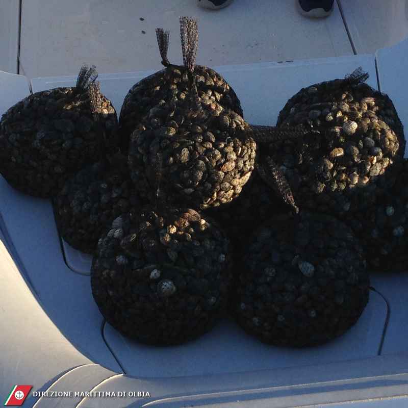 Olbia, pesca abusiva di arselle: sequestrati 53kg di mitili