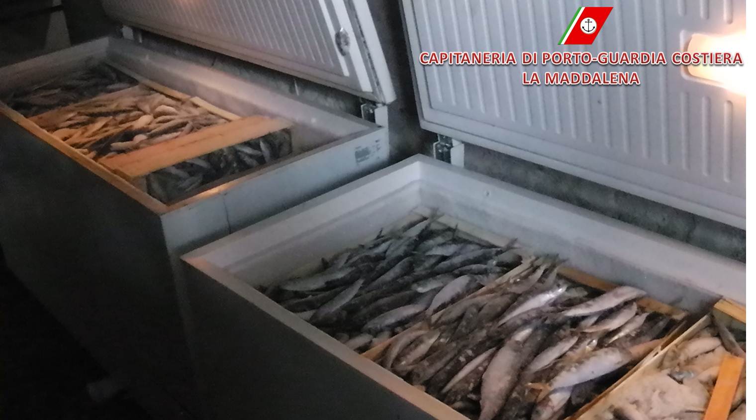 Santa Teresa, Capitaneria sequestra 500 kg di sardine e numerosi gioielli
