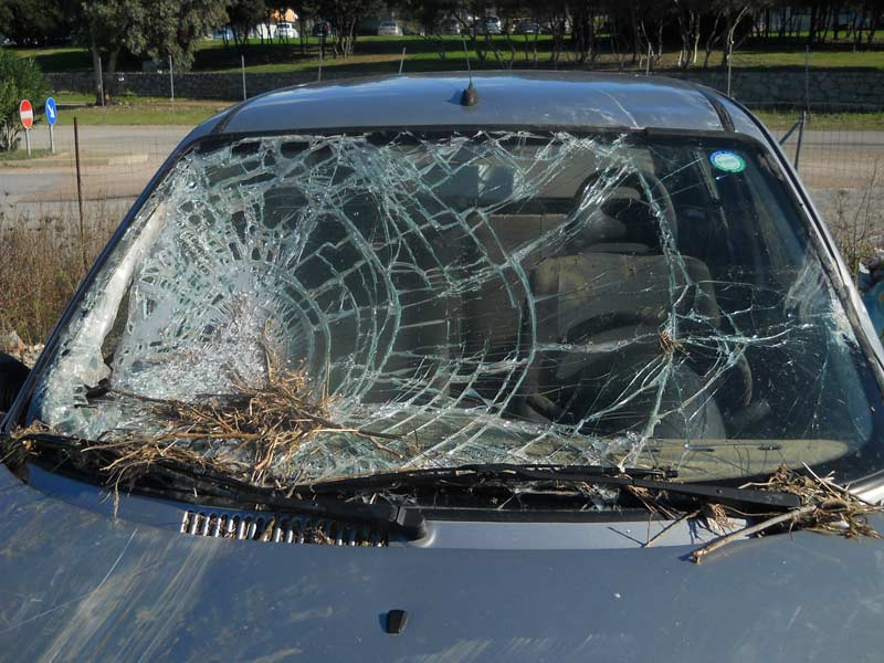 Olbia, contributi Croce Rossa: oltre 400 richieste evase dalla Polizia Locale