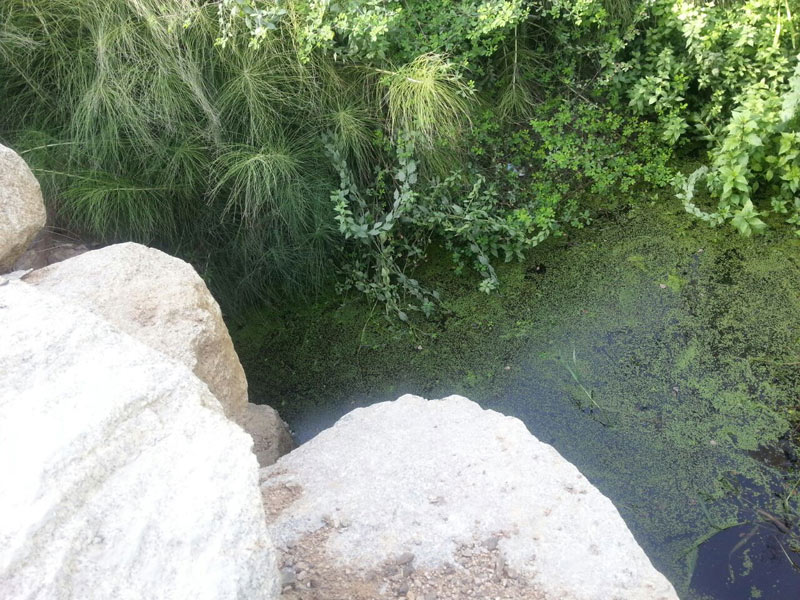 Olbia e l'alluvione: viaggio in località Mannazzu tra canne e canali tappati