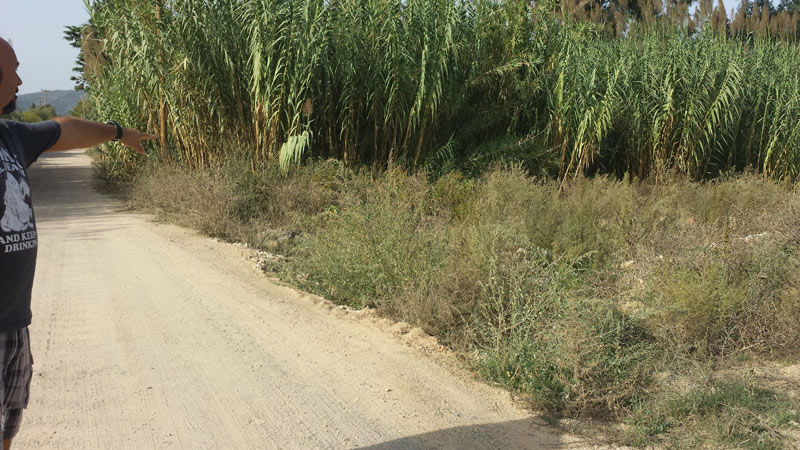 La segnalazione ha fatto centro: iniziata la pulizia del canale in via del Nuraghe