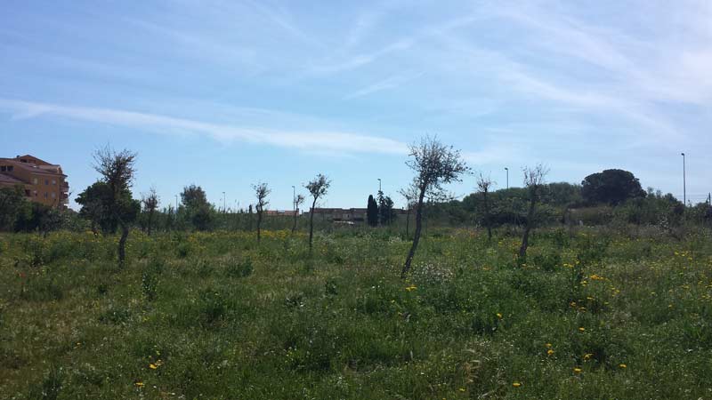 Nasce un nuovo parco ad Olbia