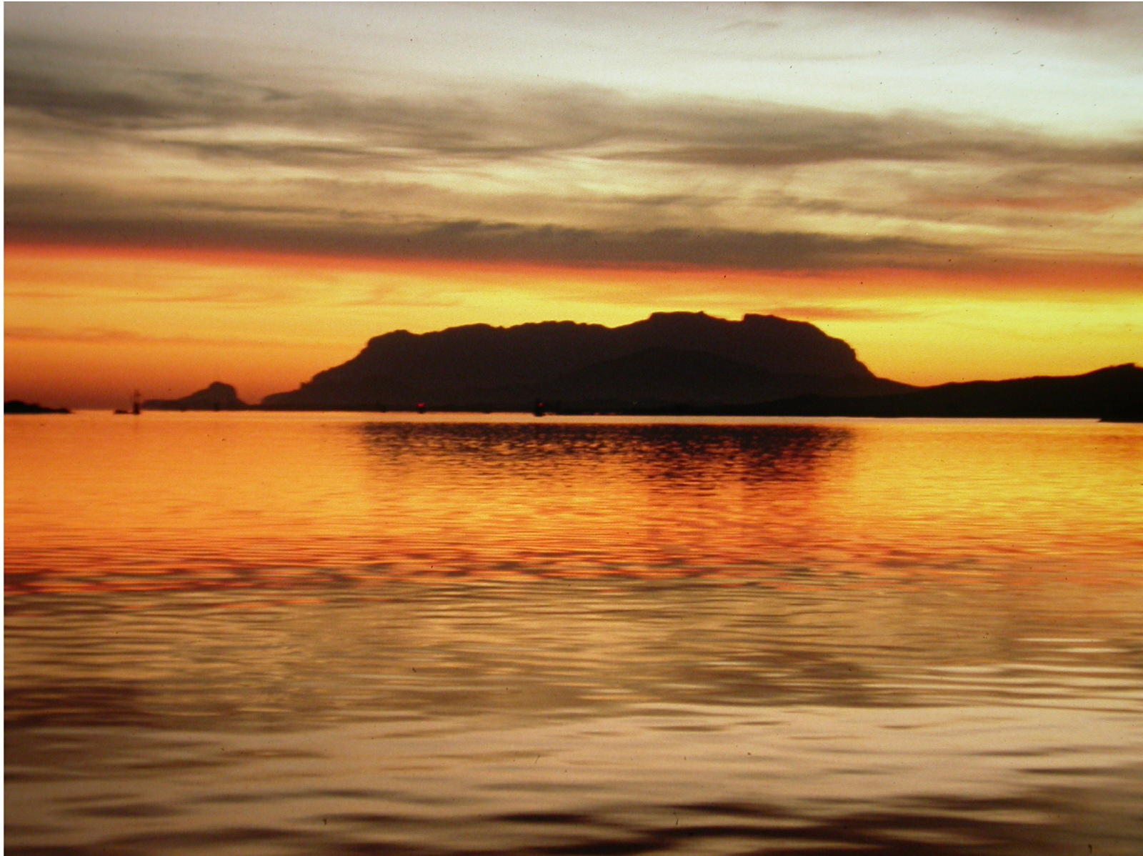 Olbia: incontro con la comunità per sensibilizzare sulla biodiversità