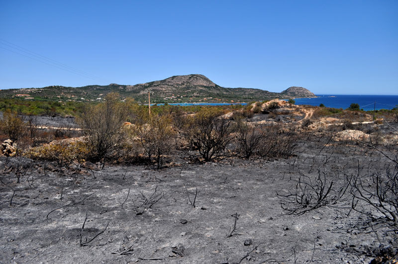 Costa Corallina, the day after: cenere, desolazione e ricordi
