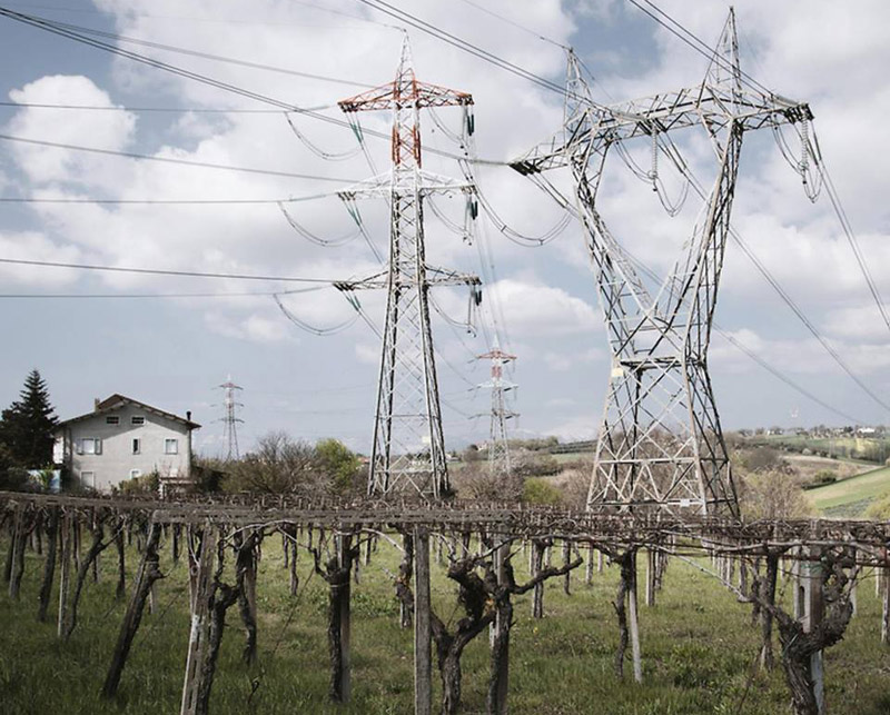 Berchidda, zero elettrodotti tra aquile e vigneti: battaglia vinta