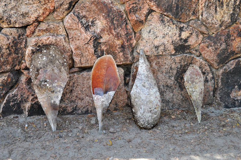 Pinna nobilis come souvenir: denunciati turisti