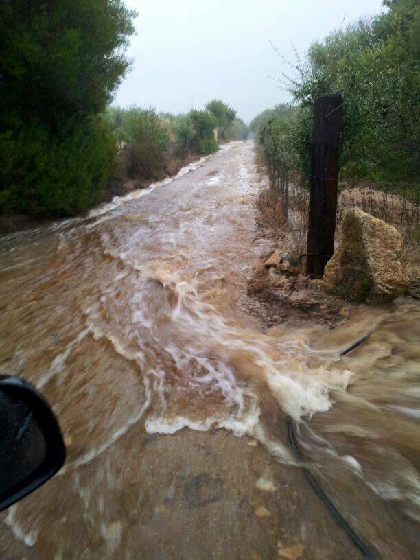 Alluvione ad Olbia: imprese agricole in ginocchio