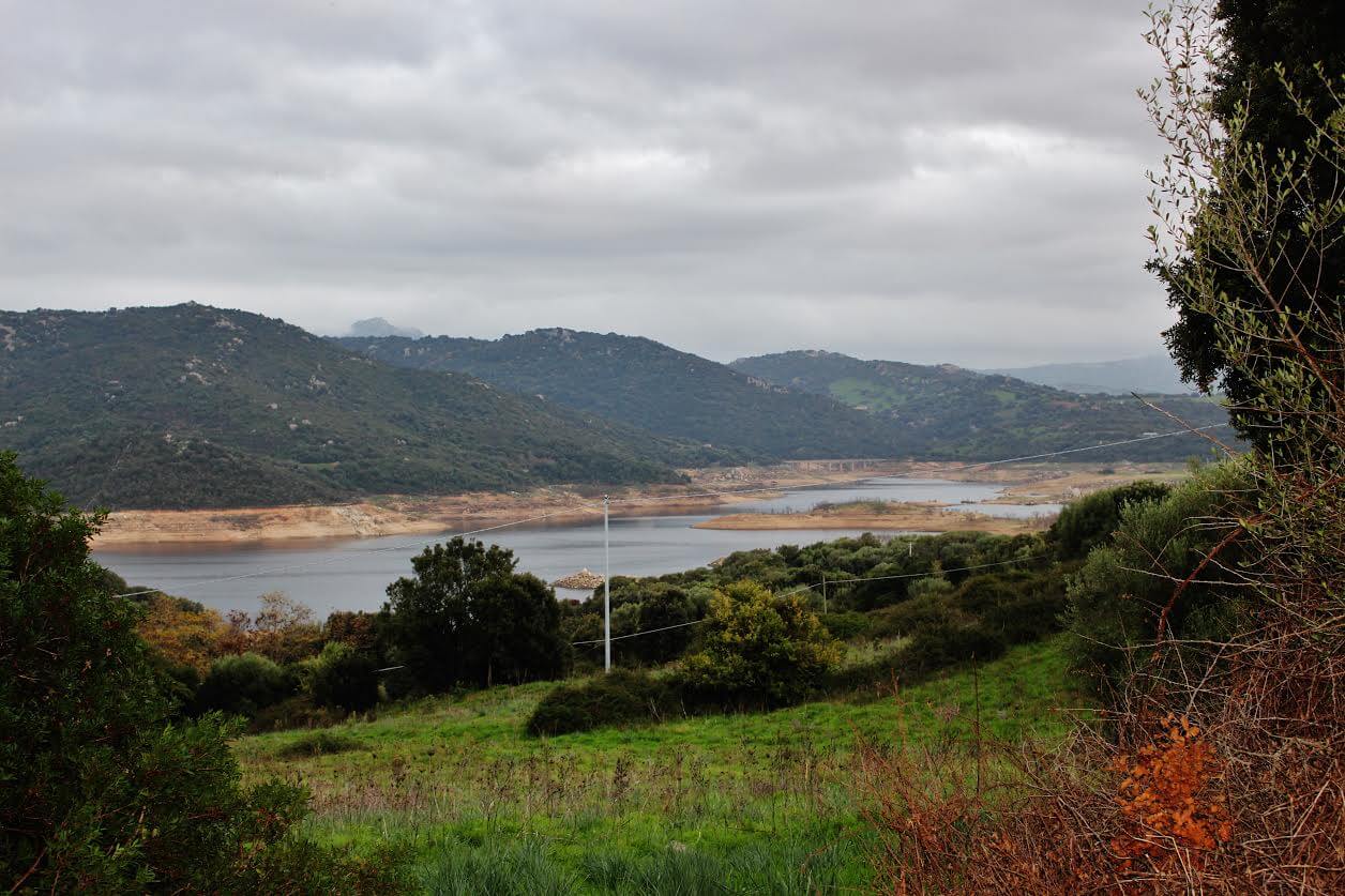 Consorzio di Bonifica della Gallura: dalla Giunta 374mila euro