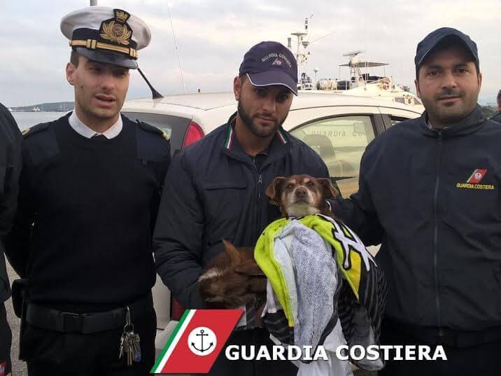 Olbia: cane salvato da annegamento al Molo Brin