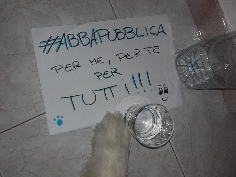 #abbapubblica: i pentastellati olbiesi contro Giovannelli