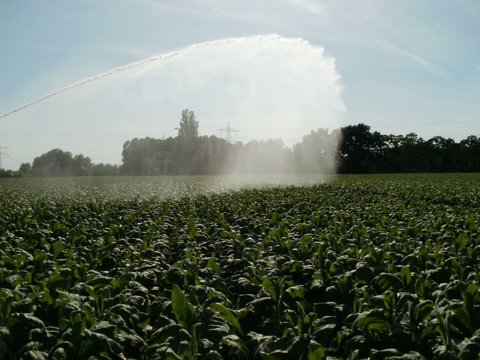 Gallura, emergenza idrica: ecco i turni per irrigare i campi