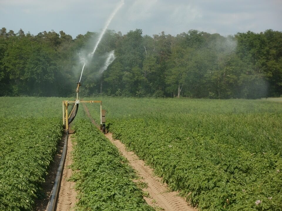 Olbia, lavori su condotta irrigua: due zone senza acqua