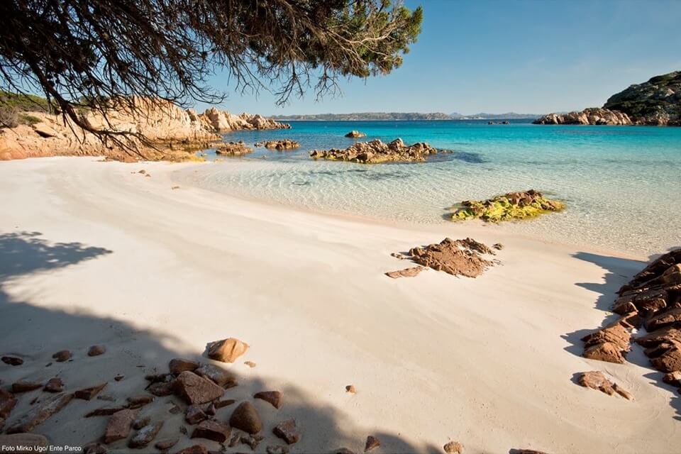 La spiaggia rosa Monumento naturale: lanciato l'appello per il riconoscimento