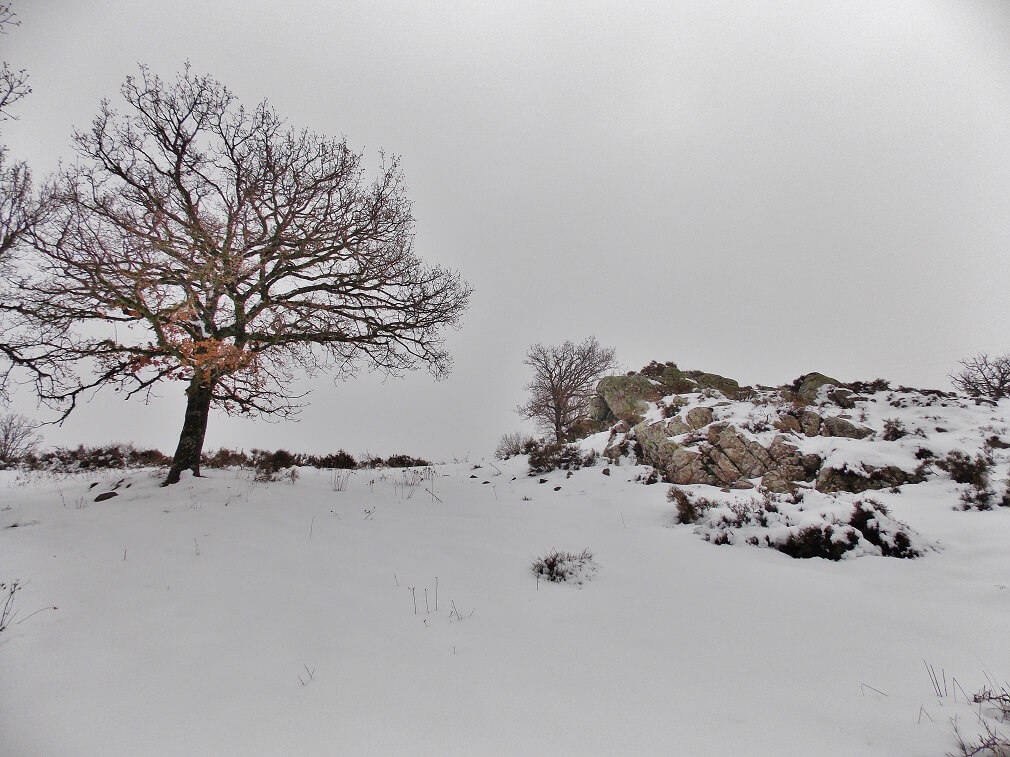 Calangianus, neve in arrivo: domani scuole chiuse