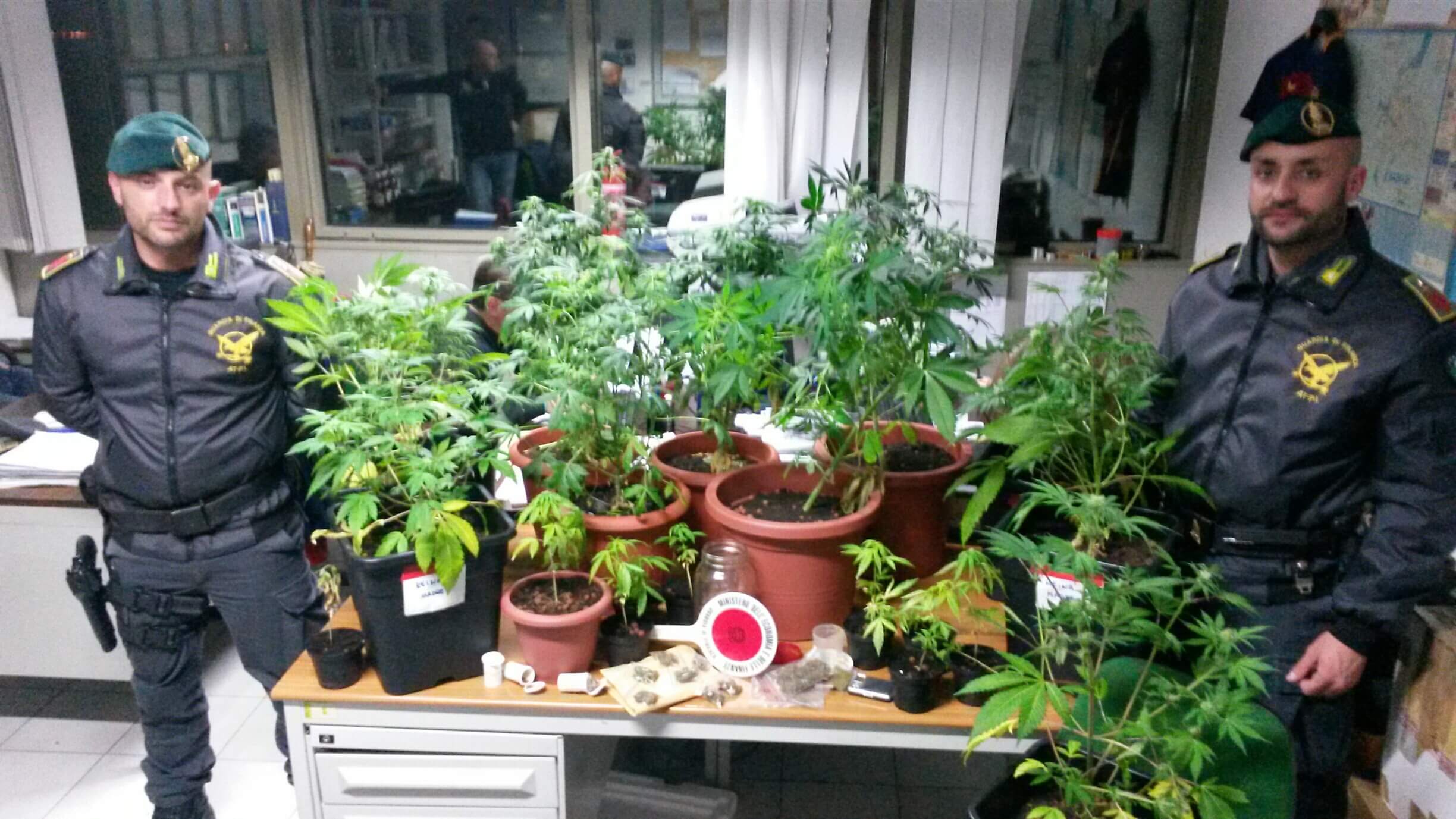 Coltivava marijuana in appartamento: giovane arrestato