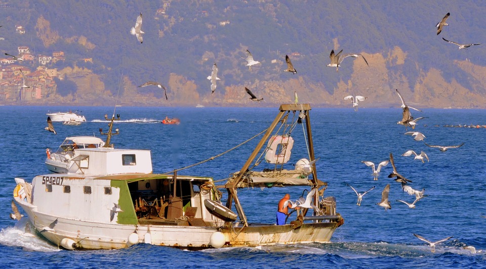 Pesca, Falchi: settore in difficoltà ma con grandi potenzialità