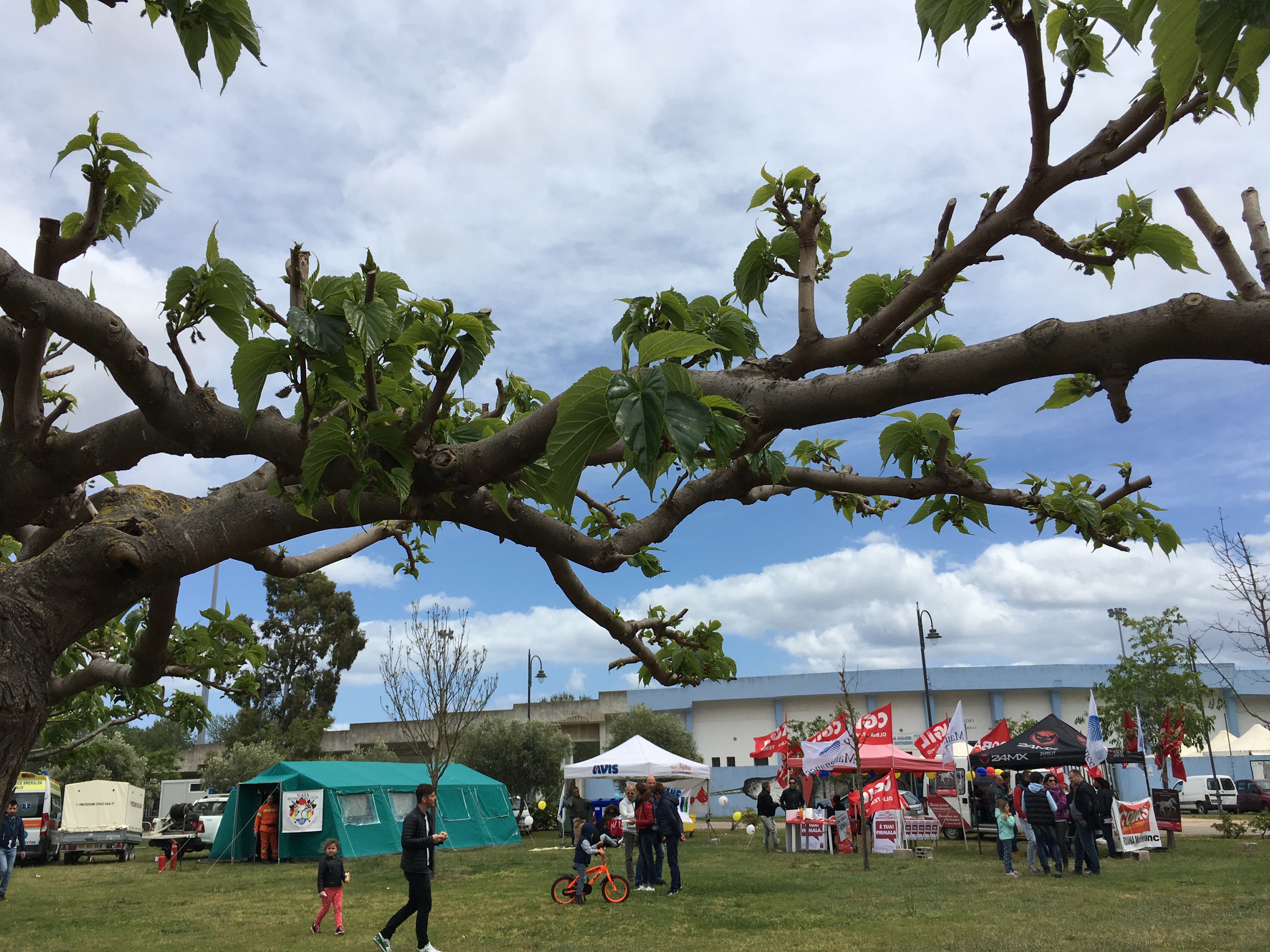 Olbia, Eventi Frizzanti al Primo Maggio: 