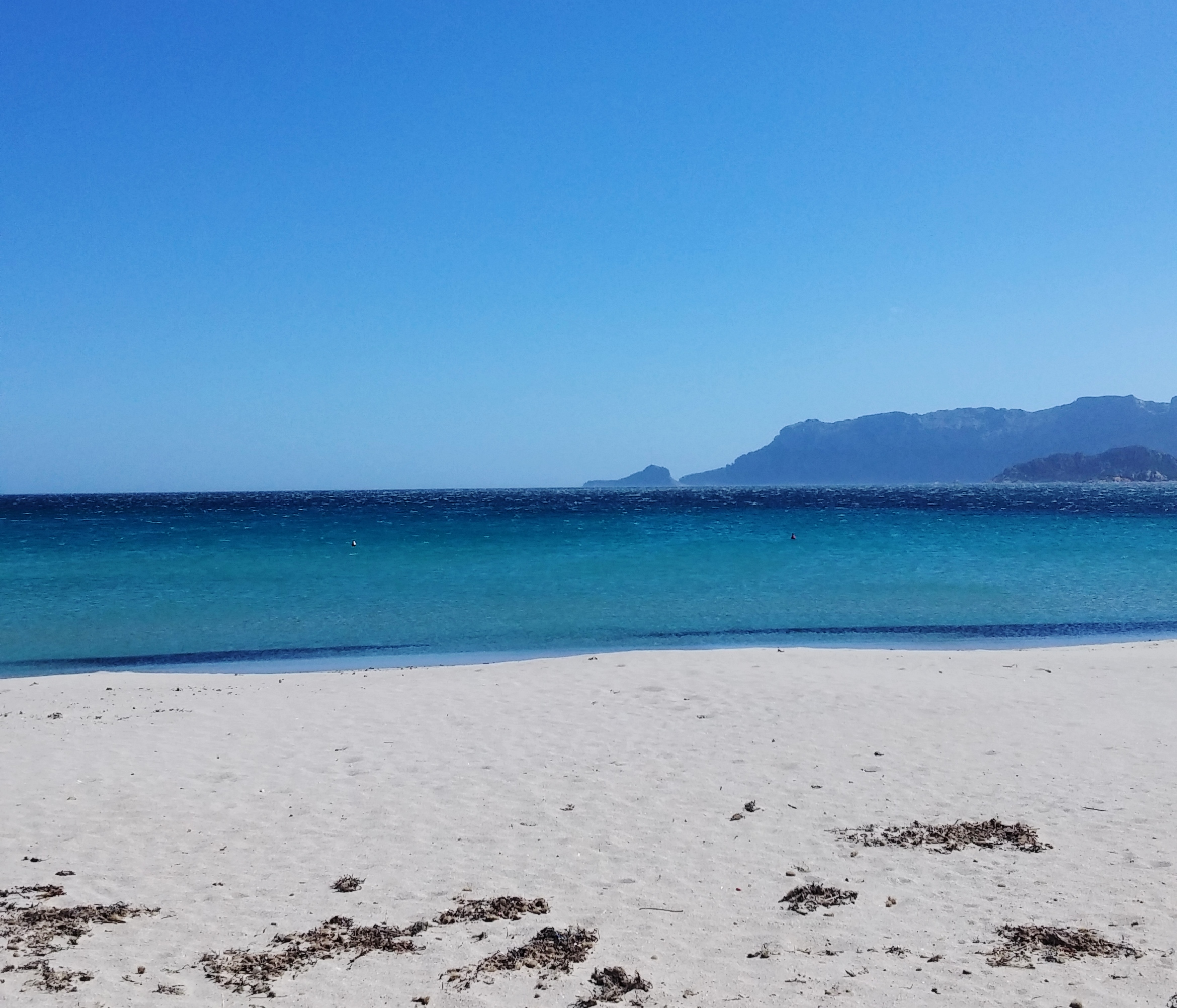 Sardegna riparte: da oggi spiagge aperte!